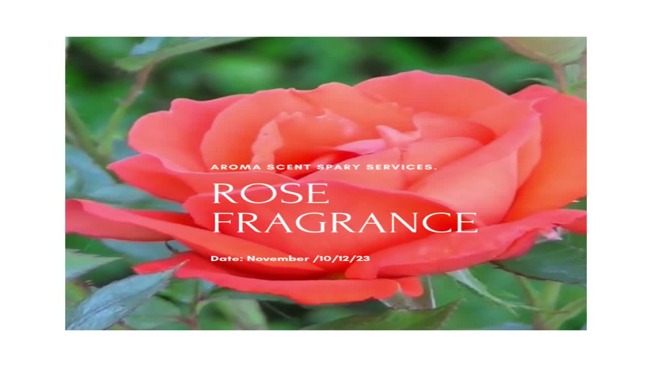 Aroma Services in Sanjay Nagar Baiji Pura,Aurangabadmaharashtra Best