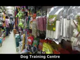 khan market pet shop