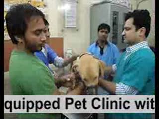 pet clinic in paschim vihar